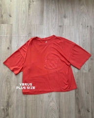 Áo thun cổ tròn SO xuất xịn bigsize(soattn)