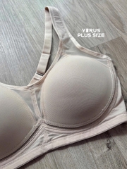 Áo ngực tryum xuất xịn