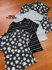 Áo thun So cuốn biên Bigsize