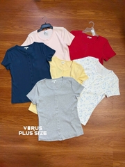 Áo thun gân maurice bigsize xuất xịn