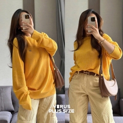 Áo len Gant sợi dọc bigsize xuất xịn