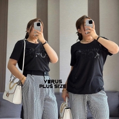 Áo thun MK xuất xịn