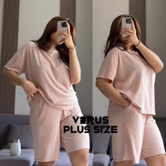 Bộ Gu ngố thun len Bigsize xuất xịn