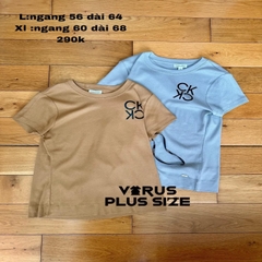 Áo thun CK basic bigsize