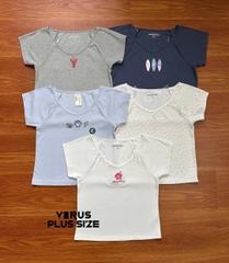 Áo thun gân cổ tim Aero xuất xịn bigsize