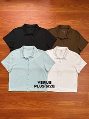 Áo polo uni nút cotton thoáng mát xuất xịn