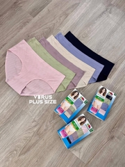 set chip fruit su thoáng khí bigsize (set 6c)