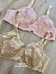 Áo ngực ren tryum có gọng xuất xịn