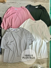 Áo thun Primark Bigsize