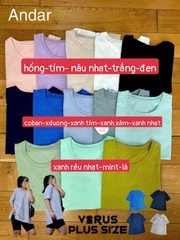Áo thun Andar vạt xẻ bigsize xuất xịn