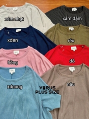 Áo thun gân cánh dơi Andree xuất xịn bigsize