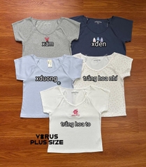 Áo thun gân cổ tim Aero xuất xịn bigsize