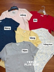 Áo thun gân maurice bigsize xuất xịn