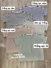 Áo thun sọc muji cotton basic bigsize