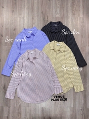 Somi Primark kate tone sọc bigsize xuất xịn