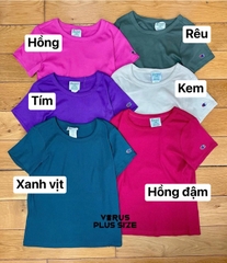 Áo thun gân Ch@mpion xuất xịn bigSize(full size)