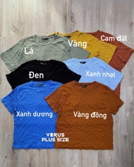 Áo thun xốp vera simply xuất xịn