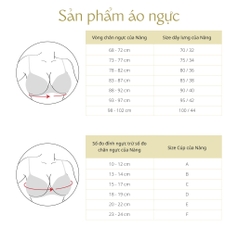 Áo ngực tryum xuất xịn