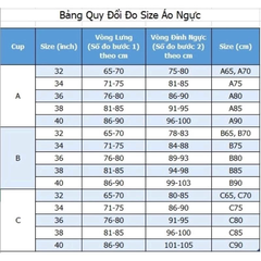 [viruSpluSSize]Áo ngực PANDORA xuất Hàn bigSize