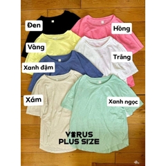 áo thun gap boyfriend cotton xuất xịn
