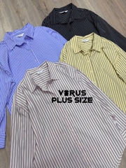 Somi Primark kate tone sọc bigsize xuất xịn