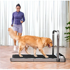 Máy Chạy Bộ Xiaomi KingSmith Walkingpad R2 Gấp Gọn Gồm 2 Chế Độ Chạy Kết Nối App Công Suất 918W - Hàng Chính Hãng