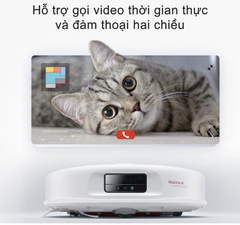 Robot Hút Bụi Lau Nhà Roborock Q Revo MaxV Lực Hút 7.000 Pa - Hàng Chính Hãng