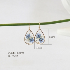 Bông tai titan hoa khô 2500683