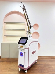 Các model máy laser TERRA PLUS