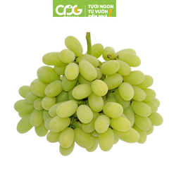 Nho xanh không hạt Sweet Globe Mỹ (22-25mm+) Thùng 8,6kg