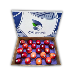 Táo Red Delicious Mỹ