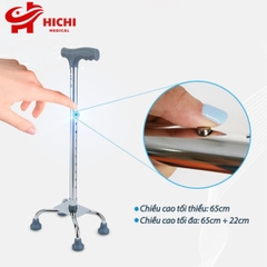 Gậy tập đi Lucass B-24 ( B-924 ) cho người già