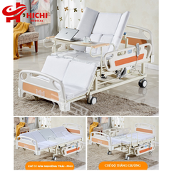 Giường Bệnh Nhân AKIKO A89-03 - Giường Điện Đa Năng