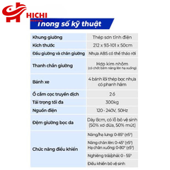 ZL-FH-Q02 - Giường Y Tế Điện Có Bô