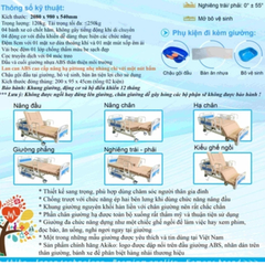 Giường Bệnh Nhân Chạy Điện Đa Chức Năng Akiko A88-03