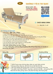 Giường Bệnh Nhân AKIKO A81 - Giường Y Tế 1 Tay Quay