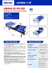 Giường Y Tế 4 Tay Quay Đa Năng - ZL-FH-Z01