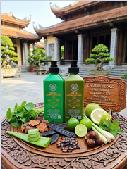Combo Dầu Gội - Dầu Xả Hương Hồi Long