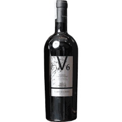 Rượu Vang Đỏ Ý V6 Salice Salentino 750ml G