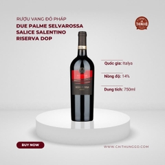 Rượu Vang Đỏ Ý Due Palme Selvarossa Salice Salentino Riserva DOP 750ml G