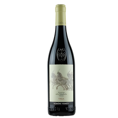 Rượu Vang Đỏ Ý Domini Veneti Amarone D.V Classico Villa G