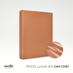 Ga giường Lụa Tencel trơn màu 3