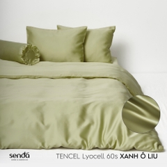 Bộ 5 món chăn ga gối Lụa Tencel trơn màu 4