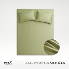 Bộ ga gối 3 món Lụa Tencel trơn màu