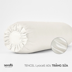 Vỏ gối ôm Lụa Tencel trơn màu 5