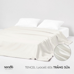 Vỏ chăn mỏng Lụa Tencel trơn màu 5