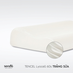 Vỏ gối cao su non - memory foam Lụa Tencel trơn màu 5