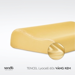 Vỏ gối cao su non - memory foam Lụa Tencel trơn màu 2