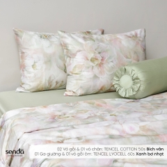 Bộ chăn ga gối 5 món Tencel Cotton họa tiết - Bích vân