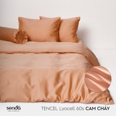 Bộ 5 món chăn ga gối Lụa Tencel trơn màu 3